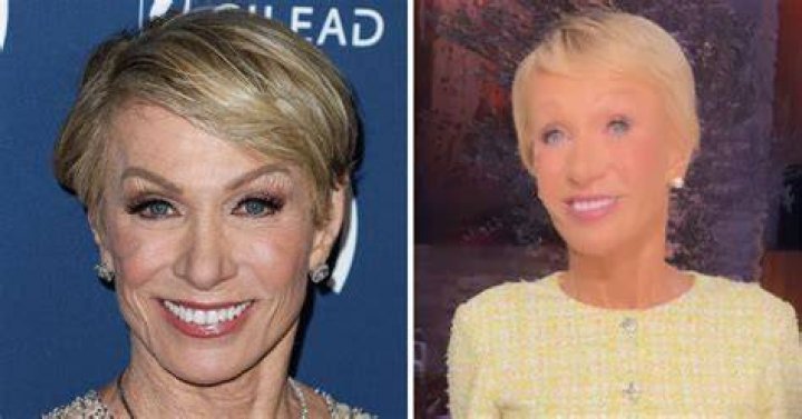 Barbara Corcoran Plastic Surgery, Did Barbara Corcoran Get Plastic Surgery? Barbara Corcoran Plastic Surgery, Did Barbara Corcoran Get Plastic Surgery?